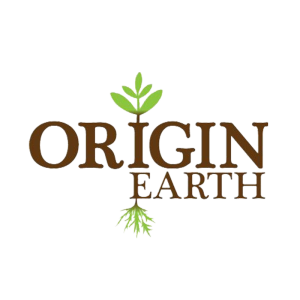 Origin Earth